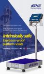 SH8P 304 Series Stainless Steel 30-300KG Explosion-Proof Scale LED Display