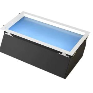China Ac220-240v Ip20 Ceiling Light Sky Rohs Certification factory