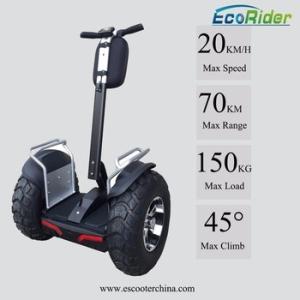China 21 Inch Off Road Segway Electric Scooter Ecorider 4000W Brushless 2 Wheel Balance Scooter factory