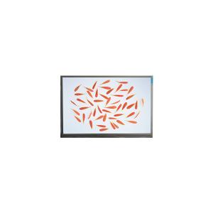 China C116NWR4-0 11.6 inch 1366*768 IPS LCD Screen Display factory