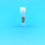 Negative One Step Rapid Test Kits For Influenza B Virus Diagnosis