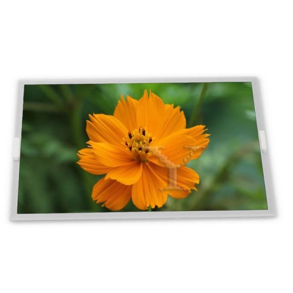 DMF50081NFU-FW WLED TFT LCD Display Module 4.7-Inch with 320*240 Resolution OLED