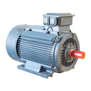 China IP55 3 Phase Variable Speed AC Motor Induction Iron Cast 100% Output Power factory