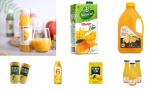 SUS 316L Mango Jam Juice Processing Machine 10 - 100T/D Turnkey Service