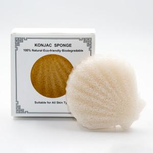 China OEM ODM Shell Shaped Skincare Dry Konjac Sponge Compostable factory