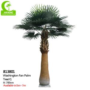 China UV Resistance H700cm Artificial Tropical Tree , Fake Palm Plant Indoor factory