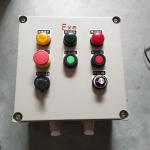 Outdoor ATEX Electrical Low Voltage Distribution Cabinet Explosion Proof Boxes