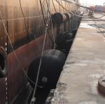 Anti Collision Device Marine Rubber Pneumatic Dock Fender