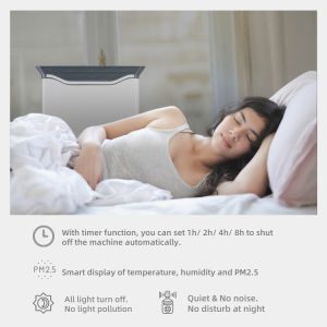 HOMEFISH Desktop Germicidal UV Lamp Negative Ionizer Air Purifier 250CFM