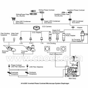 Trinocular Inverted Phase Contrast Microscope Inverted Optical Microscope CE A14