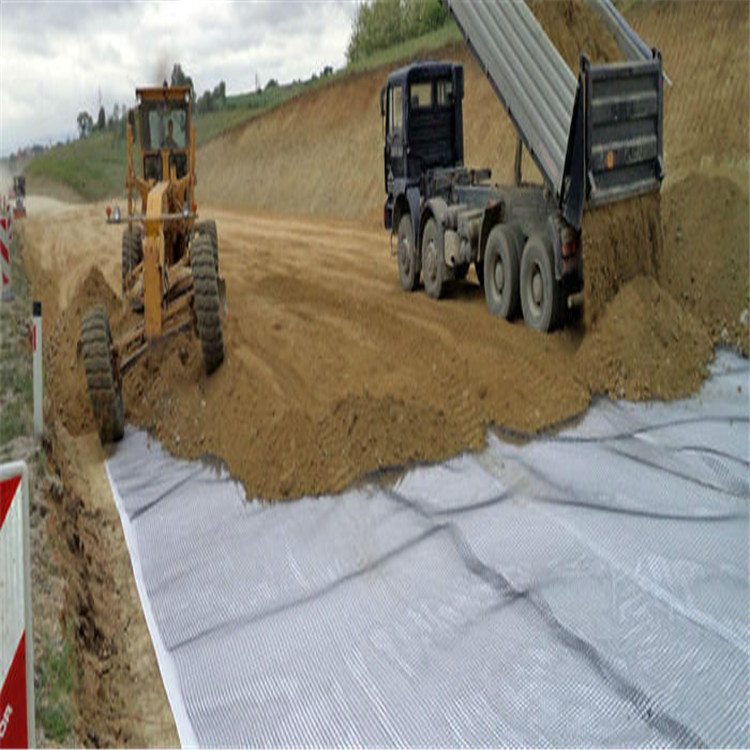 White Polyester Nonwoven Geotextile Separation Layer Driveway Fabric For Slope Protection