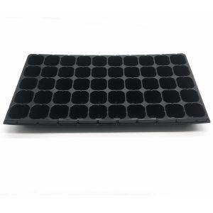 China 50 Cavity Transplanting Nontoxic Seed Germination Tray With Lid on sale