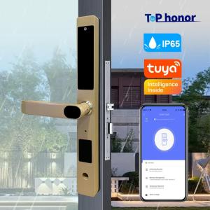 China Gold Bridge Cut Tuya App Door Lock Remote Control Fingerprint Code Card Key Lock factory