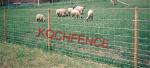 Low Carbon Steel Hog Wire Fence Panels , 8 Ft Field Fence Wiht 1''-4'' Aperture