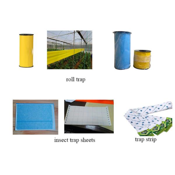 Double Sides Coat Glue Yellow Fly Roll Trap Making Machine Mouse Trap Machine