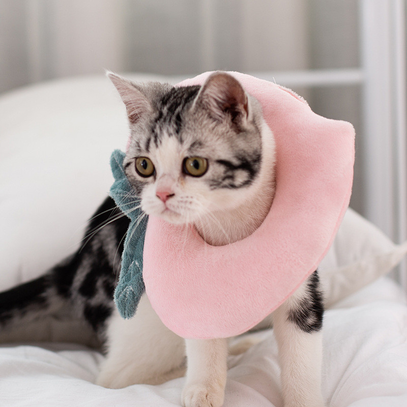 23cm 26cm Opp Bag Packing Anti Lick Collar Cats