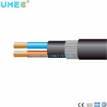 Copper Conductor LV 2X16/3X25mm2 XLPE/PVC Insulation Swa Cable for Customer