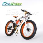 26 Inch Tires 2 Wheel Electric Bike Outdoor Off Road Dirt Electric Snowmobile
