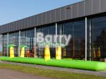 PVC Inflatable Belly Slide Jungle Inflatable For Commercial Event