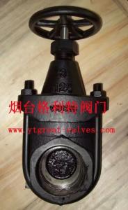 China clip gate valve factory