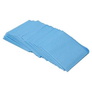 China 5 Layer Non Woven Pet Training Pads Super Absorbent Dog Training Pee Pad factory