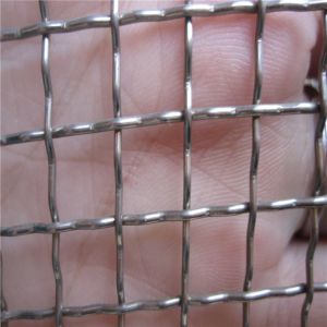 China 20x20mm Openning Galvanized Square Stainless Steel Crimped Wire Mesh on sale