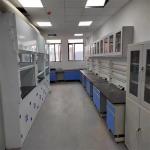 Digital Control Laboratory Fume Hood For Chemical Fume Extraction Noise ≤60dB