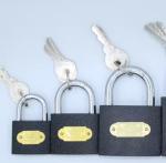ODM 50mm Iron Padlock Waterproof Outdoor Lock