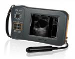 Monochrome Display Veterinary Ultrasound Scanner L60 With 32 Digital Channels