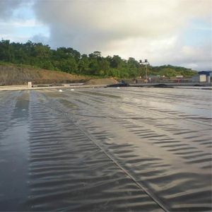 0.5mm 1mm 1.5mm Plastic Waterproof Aquaculture Geomembrane Hdpe Liner Fish Farm
