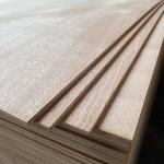 Phenolic Adhesive Hardwood Veneer Plywood Sheets 2440x1220mm For Doors