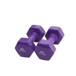 4kg Cast Iron Free Weight Exercise Equipment Neoprene Or Vinyl Dumbbell