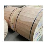 100 N/100mm FTTH Indoor 1 Core G657A1 G657A2 GJXFH GJFJ8v/H Drop Cable Fiber