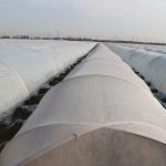 Spunbond Coated Agricultural Mulch Film Roll 100GSM