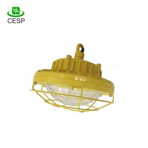 China Quality Chinese Products 40W Explosion Proof Led Flood Lights Lighting Hazardous Area Lighting factory