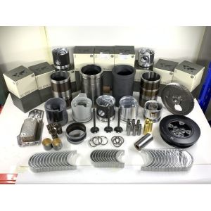 C1.1 engine overhaul rebuild kit for spare parts