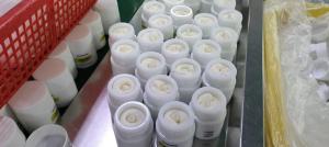 China 20g Eyecare Cosmetics Protein Firming And Lightening Fine Lines Moisturizing Eye Cream factory