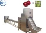 SUS304 Onion Processing Equipment Onion Skin Peeling Machine High Efficiency