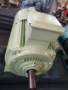 China 18.5kw Cast Iron Electric Motor Asynchronous Three Phase Squirrel Cage AC Motor factory