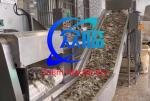 Stainless Steel 304 Automatic Shrimp Raw Material Weighing Machine High
