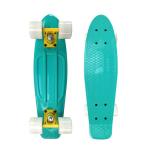 Plastic Mini Penny Complete Skateboards 22 With Blue Deck Red Wheels