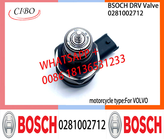 BOSCH DRV Valve 0281002712 Control Valve 0281002712 For VOL