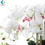63cm Height Artificial Potted Plants , Fake Phalaenopsis Orchid 5-10 Years Life