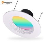 Rohs Cob Led Downlight 10w 12W