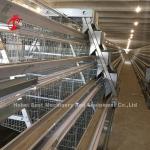 3/4/5 Tiers Battery Cage System for Automated Layer Chicken Poultry Farm Iris