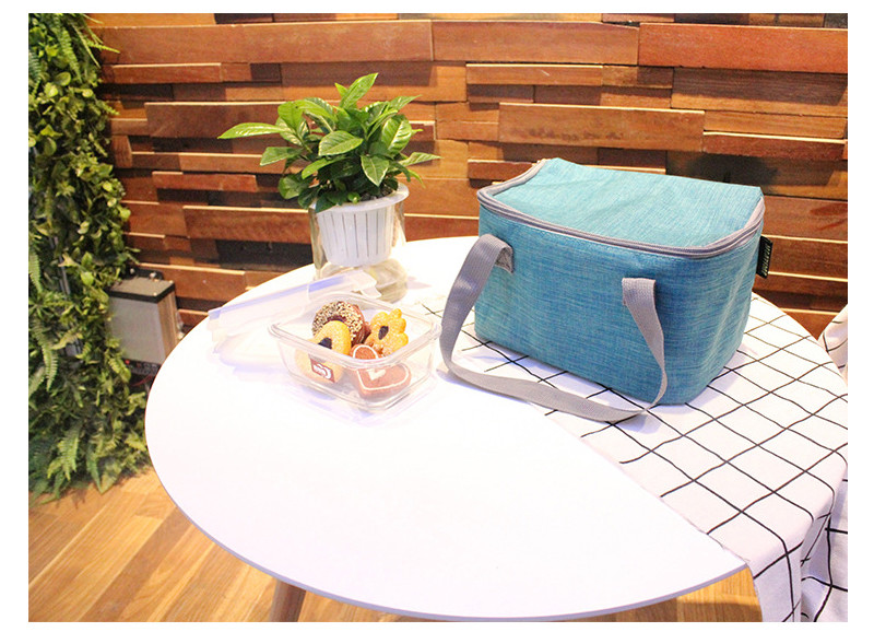 SGS Polyester L21.5cm Insulated Lunch Cooler Bags