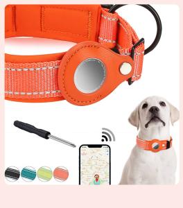 China Orange Blue GPS Air Tag Dog Collar Nylon Cat Collars Adjustable Custom Logo factory