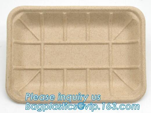 China corn starch biodegradable meat tray corn starch dinnerware sets  biodegradable cake tray Rectangular Tray Paper Food Tra factory