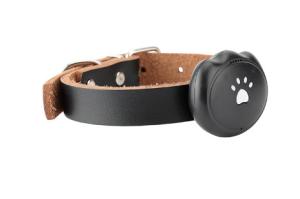China 2G SIM Waterproof GPS Tracking Collar Android IOS Compatible For Pet Dog / Cat factory