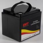 OEM Rechargeable Lithium ion 12v 60ah 768Wh lifepo4 battery pack for scooter E